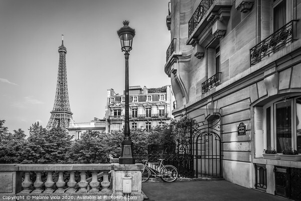 Parisian Charm | monochrome Picture Board by Melanie Viola