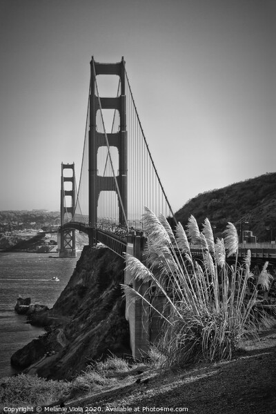 SAN FRANCISCO Golden Gate Bridge | monochrome Picture Board by Melanie Viola
