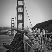 Buy canvas prints of SAN FRANCISCO Golden Gate Bridge | monochrome by Melanie Viola