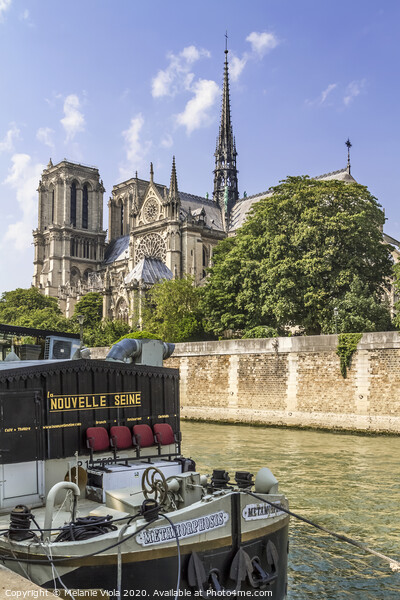 PARIS Cathedral Notre-Dame  Picture Board by Melanie Viola