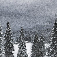 Buy canvas prints of Bavarian Winter's Tale  by Melanie Viola