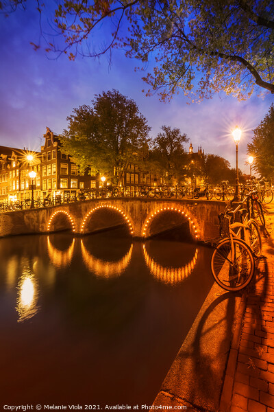 AMSTERDAM Idyllic nightscape from Keizersgracht  Picture Board by Melanie Viola