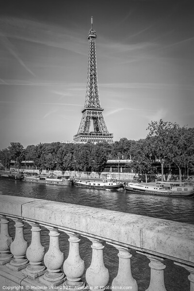 PARIS Eiffel Tower & River Seine | Monochrome Picture Board by Melanie Viola