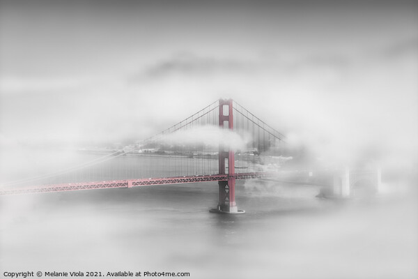 Foggy Golden Gate Bridge | colorkey Picture Board by Melanie Viola