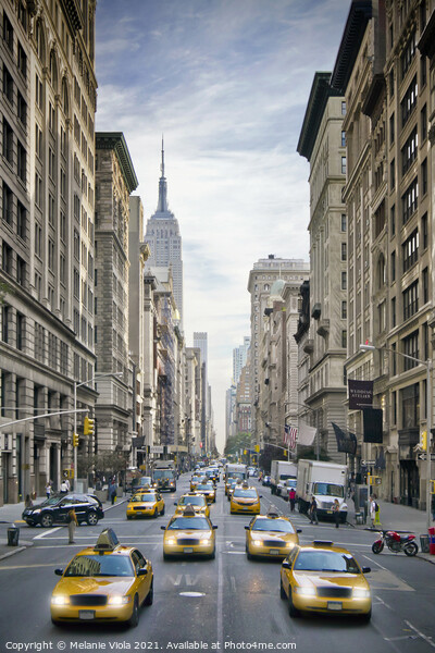 NEW YORK CITY 5th Avenue Traffic  Picture Board by Melanie Viola