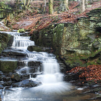 Buy canvas prints of Lumsdale Falls by Peter Towle