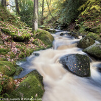 Buy canvas prints of Padley Gorge by Peter Towle