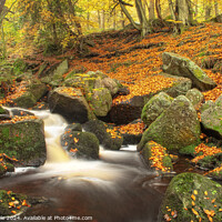 Buy canvas prints of Padley Gorge in Autumn  by Peter Towle