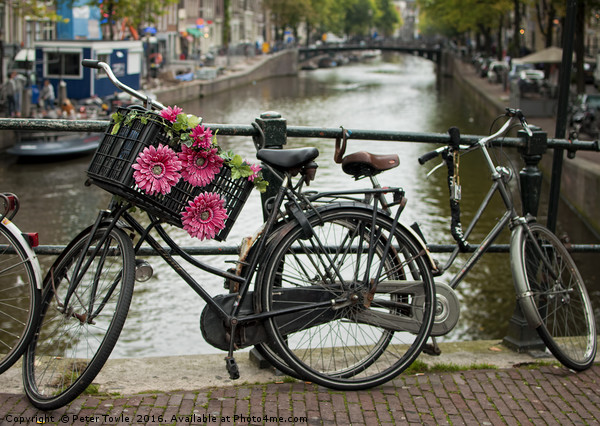 Amsterdam bikes Picture Board by Peter Towle
