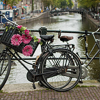 Buy canvas prints of Amsterdam bikes by Peter Towle
