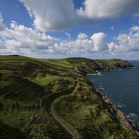 Buy canvas prints of Coastal Path Cornwall by Peter Towle