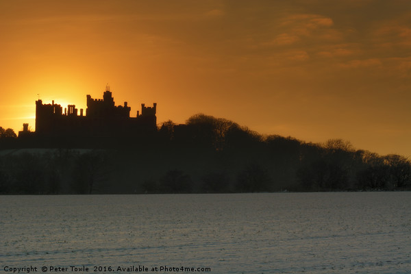 Winters sunset at Belvoir Castle Picture Board by Peter Towle