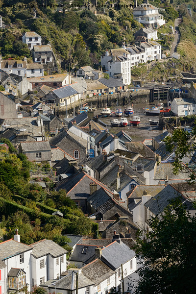 Polperro,Cornwall,UK Picture Board by Peter Towle