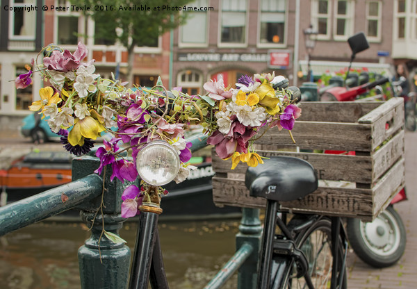 Amsterdam flowers Picture Board by Peter Towle
