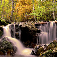 Buy canvas prints of Waterfall in the forest during Autumn by Aleksey Zaharinov