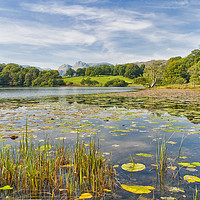 Buy canvas prints of Loughrigg Tarn,Elterwater by Rob Mcewen