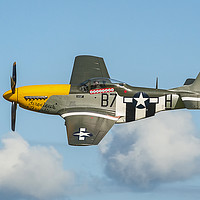 Buy canvas prints of Ferocious Frankie P-51D Mustang by Rob Mcewen