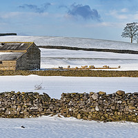 Buy canvas prints of Winter in the Dales by Rob Mcewen