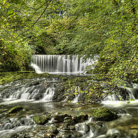 Buy canvas prints of Stock Ghyll Force by Rob Mcewen