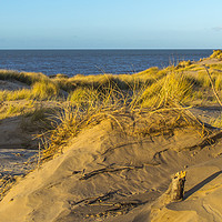 Buy canvas prints of Formby sand dunes,Formby UK by Rob Mcewen