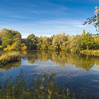 Buy canvas prints of Longton Brickcroft nature reserve by Rob Mcewen