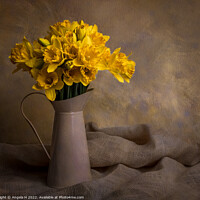 Buy canvas prints of Vase of Daffodils by Angela H