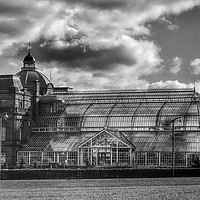 Buy canvas prints of The Winter Gardens by Angela H