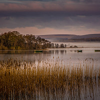 Buy canvas prints of Lake Of Menteith by Angela H