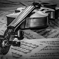 Buy canvas prints of Black and white violin by Angela H