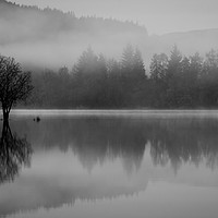 Buy canvas prints of Loch Ard reflections by Angela H