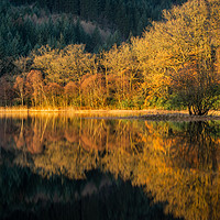 Buy canvas prints of Loch Chon by Angela H