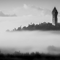 Buy canvas prints of The Wallace Monument by Angela H