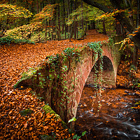 Buy canvas prints of Gore Glen by Angela H