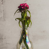 Buy canvas prints of Flowers in vase by Angela H