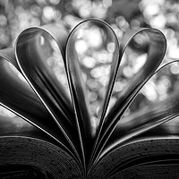 Buy canvas prints of Open book by Angela H