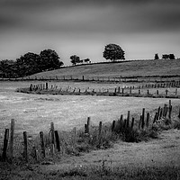 Buy canvas prints of Fields by Angela H