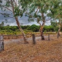 Buy canvas prints of Australia My Home by Hans Goepel Photographer