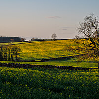 Buy canvas prints of Late afternoon near Lazonby in Cumbria by Michael Brookes