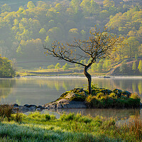 Buy canvas prints of First light at Rydal Water by Michael Brookes