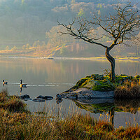 Buy canvas prints of Ethereal Rydal Water by Michael Brookes
