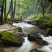Buy canvas prints of Beautiful Golitha Falls by Michael Brookes