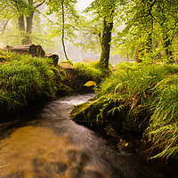 Buy canvas prints of Rivers flow by Michael Brookes