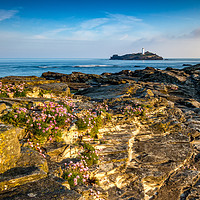 Buy canvas prints of Godrevy rock garden by Michael Brookes