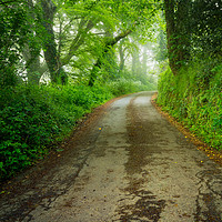 Buy canvas prints of Misty road by Michael Brookes