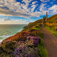 Buy canvas prints of Heather splendour Wheal Coates by Michael Brookes