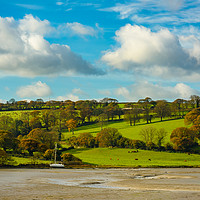 Buy canvas prints of A Cornish pastoral by Michael Brookes