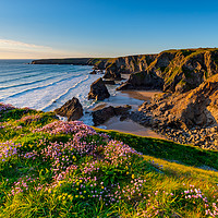 Buy canvas prints of Bedruthan Steps Cornwall in Spring by Michael Brookes