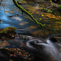 Buy canvas prints of River's edge by Michael Brookes