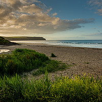 Buy canvas prints of Nare Head and Pendower Beach by Michael Brookes