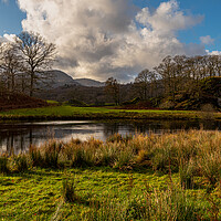 Buy canvas prints of Langdales from near Elterwater Cumbria III by Michael Brookes